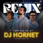 دانلود آهنگ Top Hits 1 از سهیل مهرزادگان